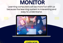 Dell 24 Computer Monitor