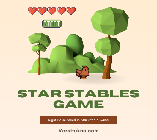 Star Stables Game